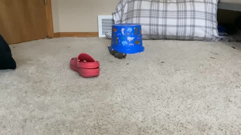 Things you can do with a single Croc part 3: throwing