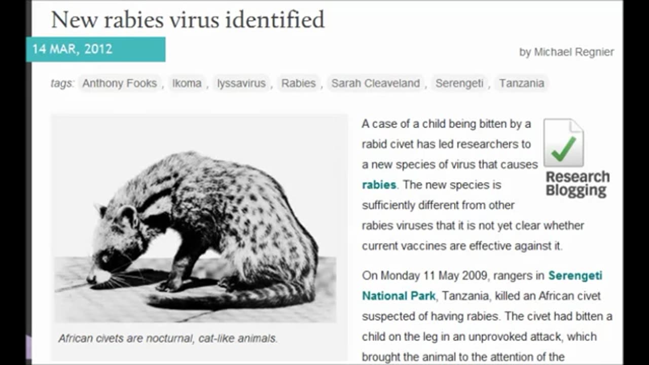 Zombie Rabies Virus Africa New rabies virus identified From 2009