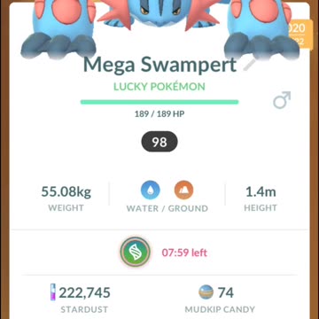 Pokemon Go Mega Evolution: Swampert