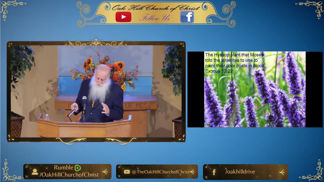 Oak Hill Church of Christ 4-27-25 Message: "Wild Flowers and Trees Bloom On The Way To Emmaus"