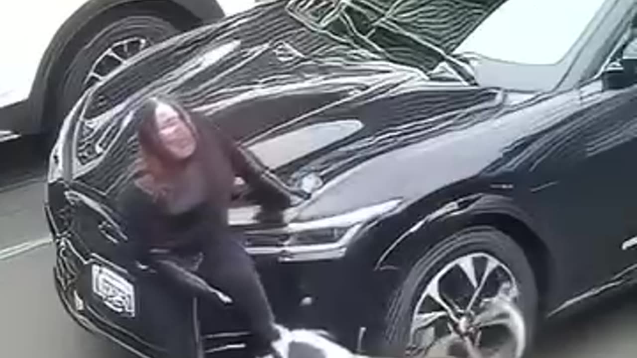 Jogger attacked by pitbulls — If a dog charges, don’t act like prey. Be the predator instead.