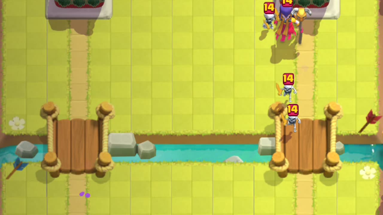Professional player