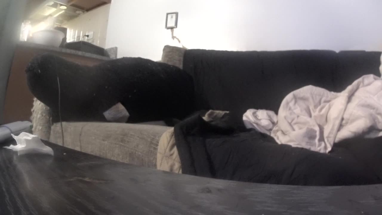 I'm thinking of moving to Mexico, changing my name and joining a cartel (2/2)