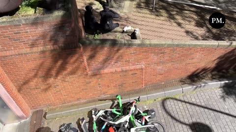 Seattle — Antifa stole @limebike & are piling them at the federal building.