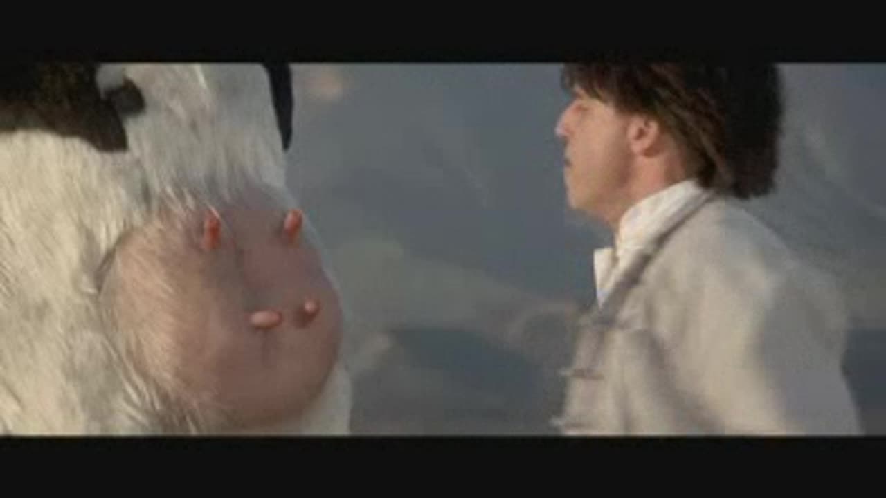 Matrix cow fight