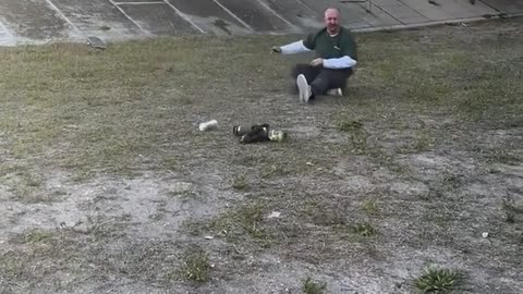 Skateboarder Faceplants, Snack Bag Goes Flying