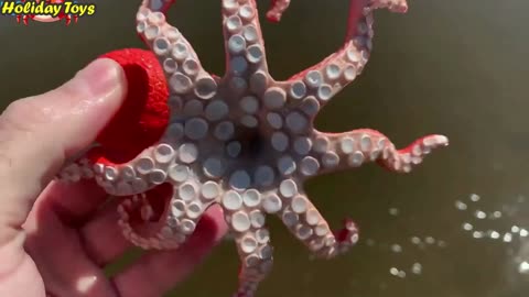 Octopus Hugs the Fish with its Tentacles and Doesn't Let Go