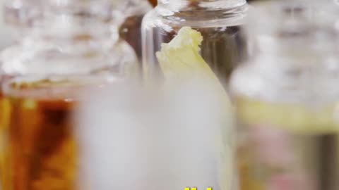 Sunlight Caused Experimental Glass to Darken Unexpectedly 🌤️