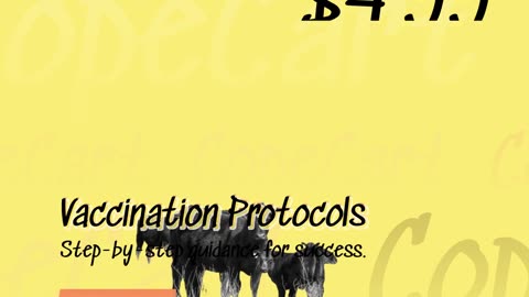 Cattle Care Essentials: A Comprehensive Guide to Health, Nutrition, and Disease Prevention