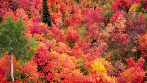 Modern R&B Lounge Session