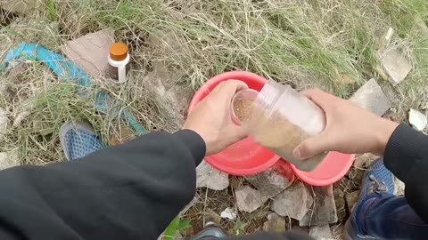 Im Takt des Flusses Fische fangen