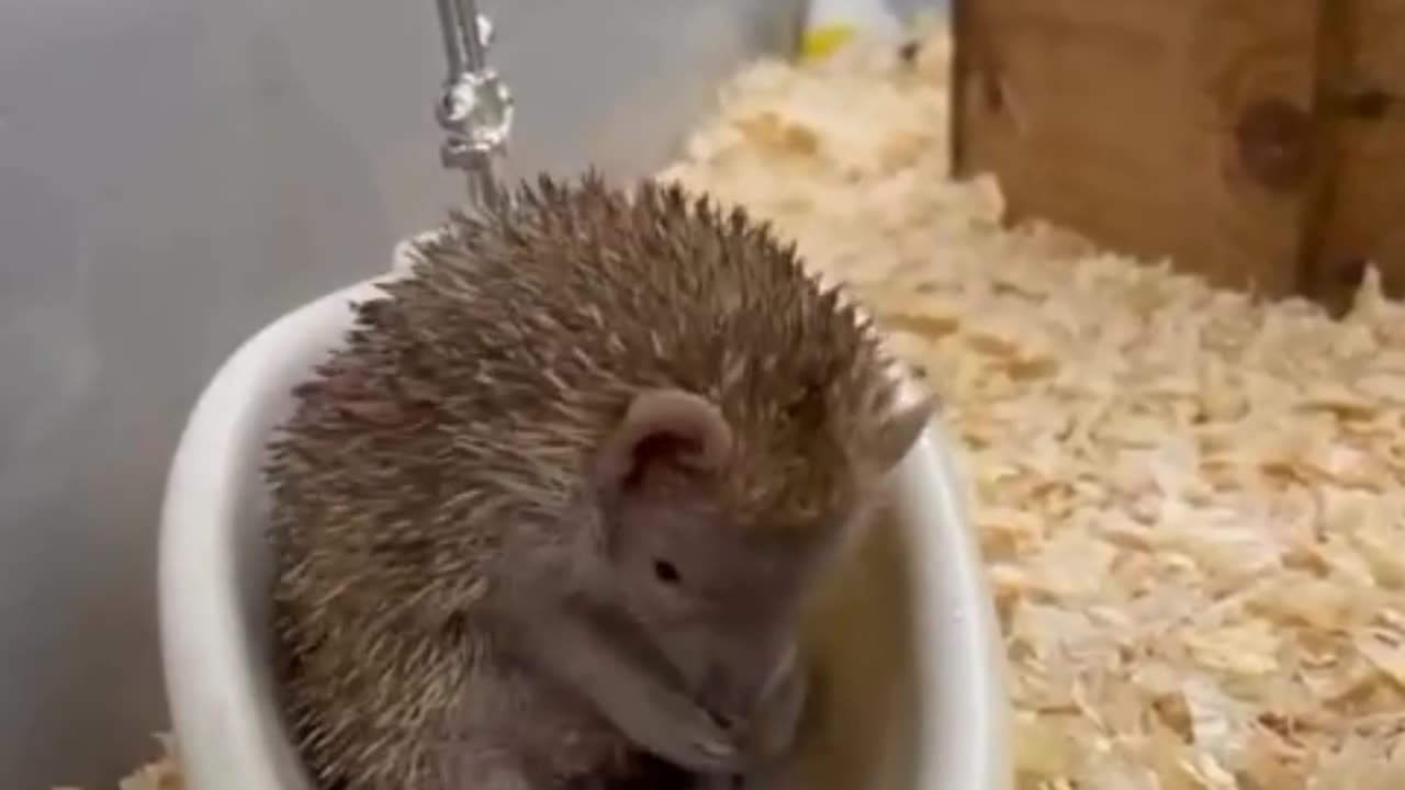 Tiny Bathroom
