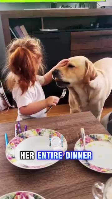 What happens when dog is friend