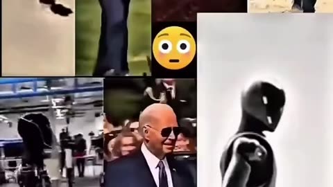Biden Robot