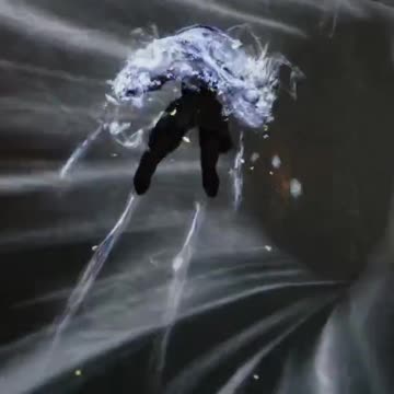 South of Midnight | Barely snagged it!