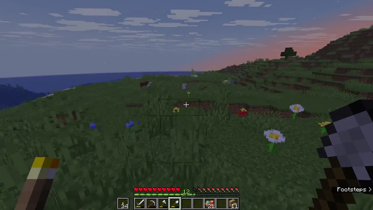 minecraft-2