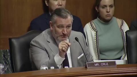 Ted Cruz exposes insane beliefs of Democrat witness