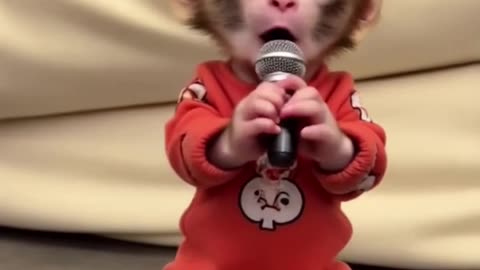 Monkey baby viral video #pets #monkeybaby