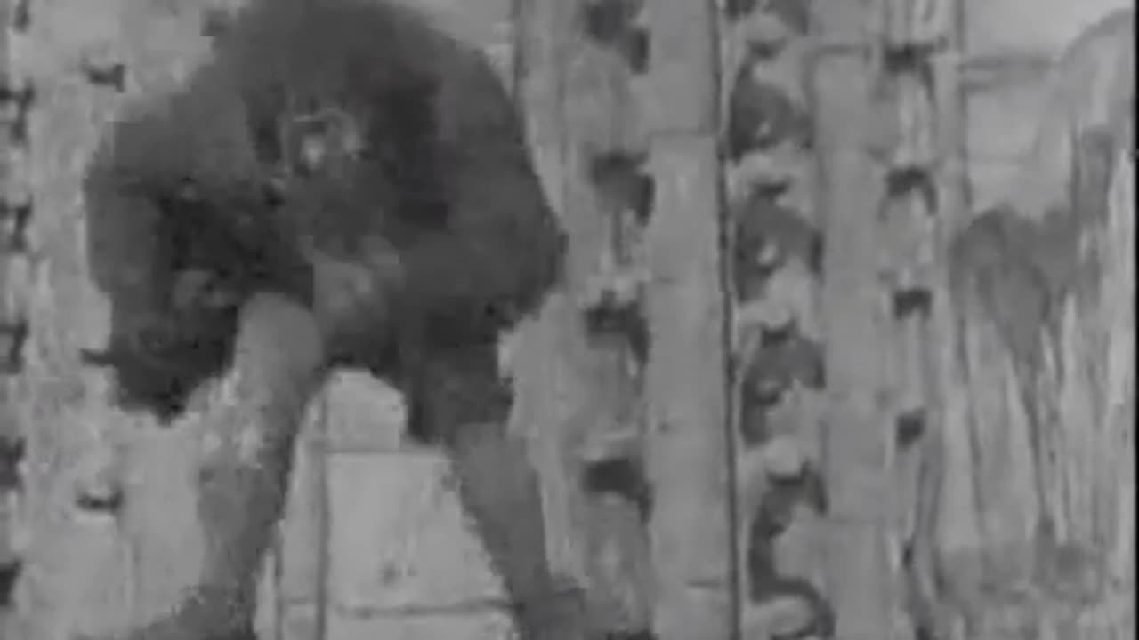 A Phoenix Named Diamond - The Hunchback Of Notre Dame Tribute