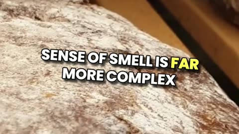 The Human Nose Can Detect Trillions of Smells