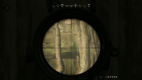 Avg snipe experience