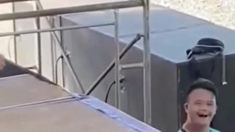 Lizard boy
