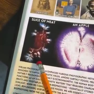 YOU ARE A BIOLOGICAL BATTERY ⚡🔋