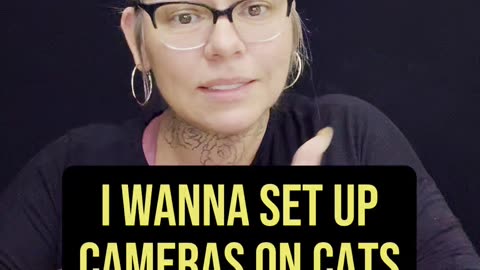 I Wanna Set Up Cameras On My Cats! 😂 #ASL #deaf #signlanguage