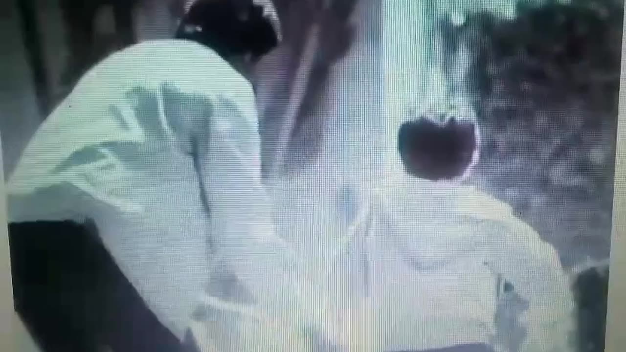 1977 McDONALD'S TV COMMERCIAL