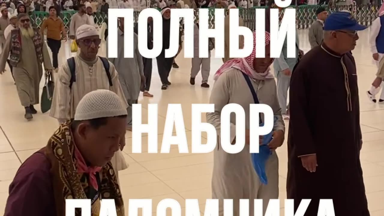 Овцы не едут в Умру. А ТЫ?!