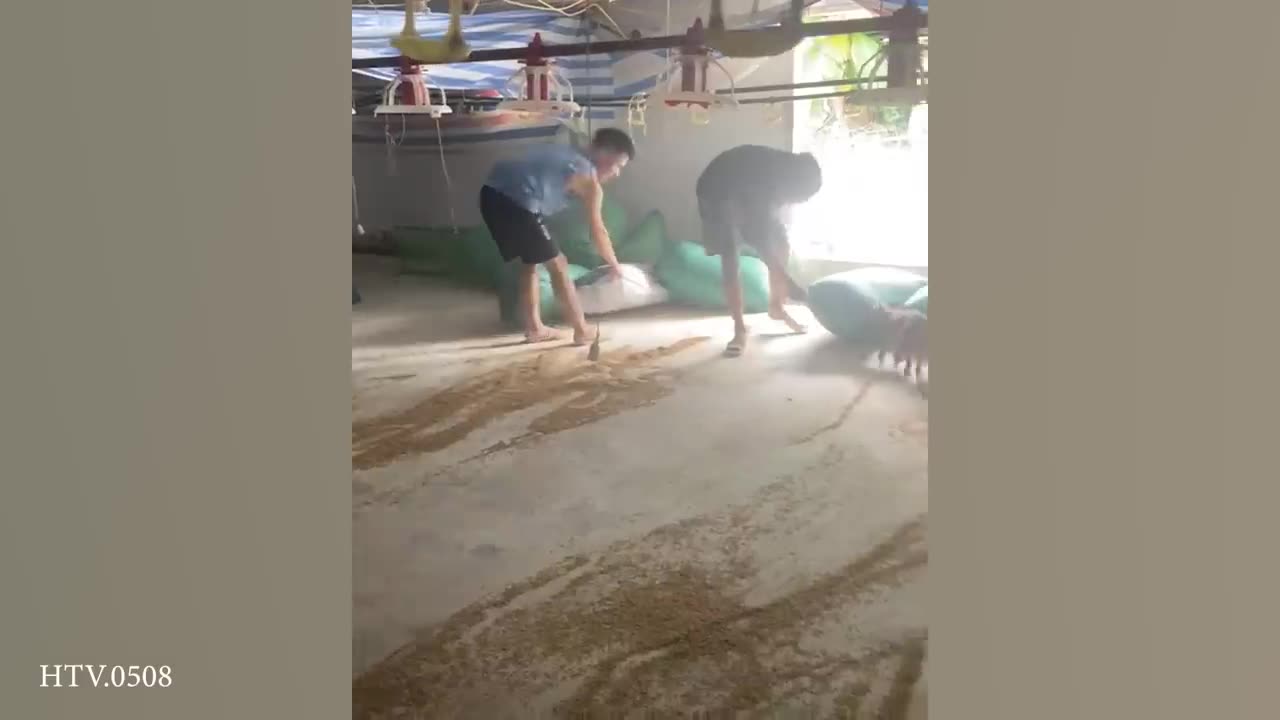 Stop Puppy Problems Forever – Clear, Easy & Fast Training Method!