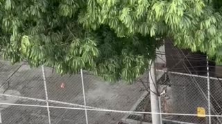 Policía sorprende a Yerimar con una torta en su cumpleaños en el barrio El Bosque