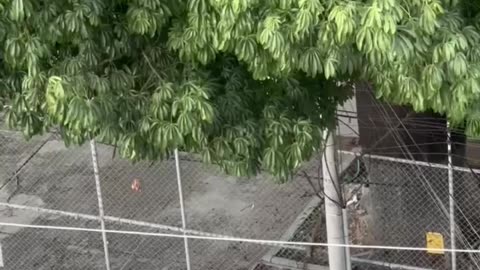 Policía sorprende a Yerimar con una torta en su cumpleaños en el barrio El Bosque