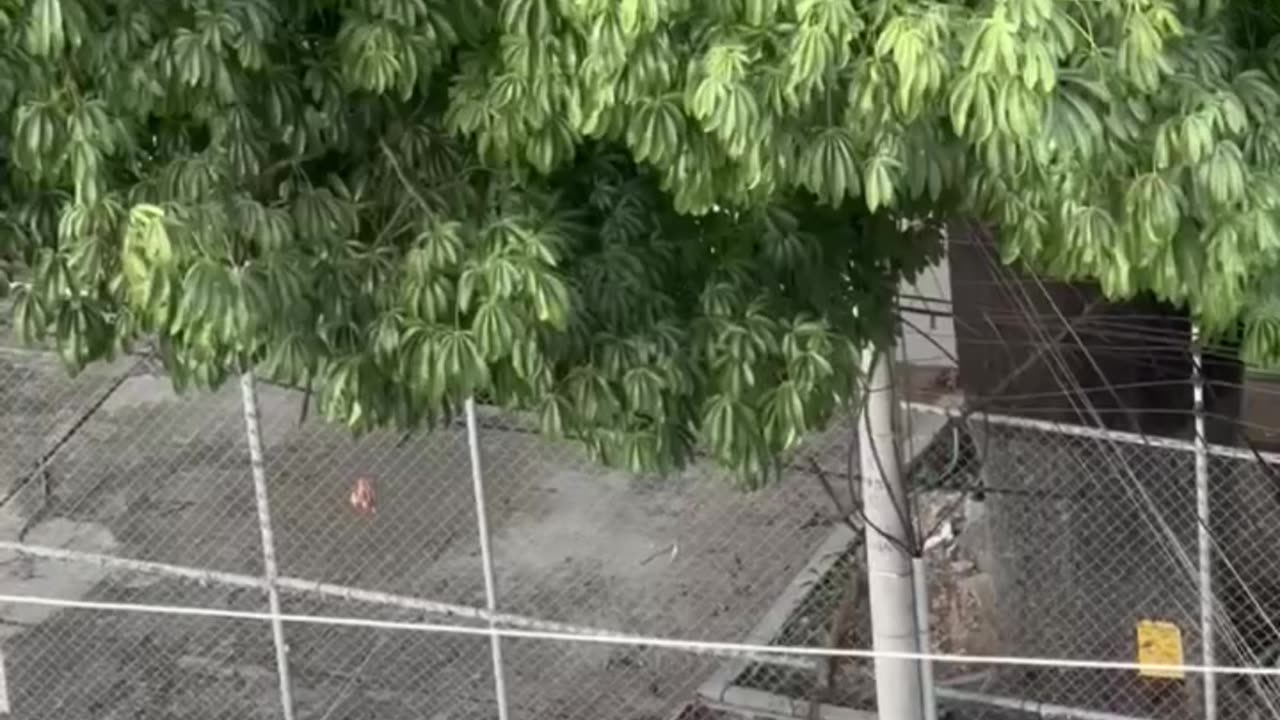 Policía sorprende a Yerimar con una torta en su cumpleaños en el barrio El Bosque