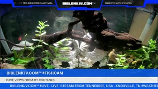 BIBLENKJV.COM™ 12/18/2025 #LIVE #FISHCAM #WEATHER