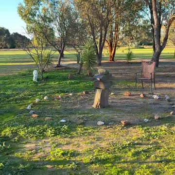 It's greening up at Jaya Sanctuary 🙌🏻