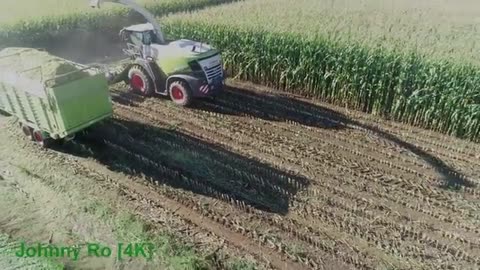 Maishäckseln mit LU Krumm mit Claas Jaguar 970, JCB, Fendt, Kröger, Fliegl, Claas, Teil 6 2022 [4K]