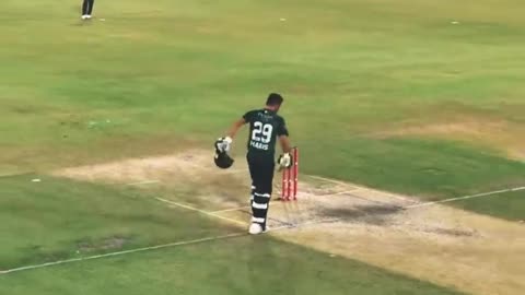 Cricket cricket