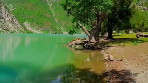 nature