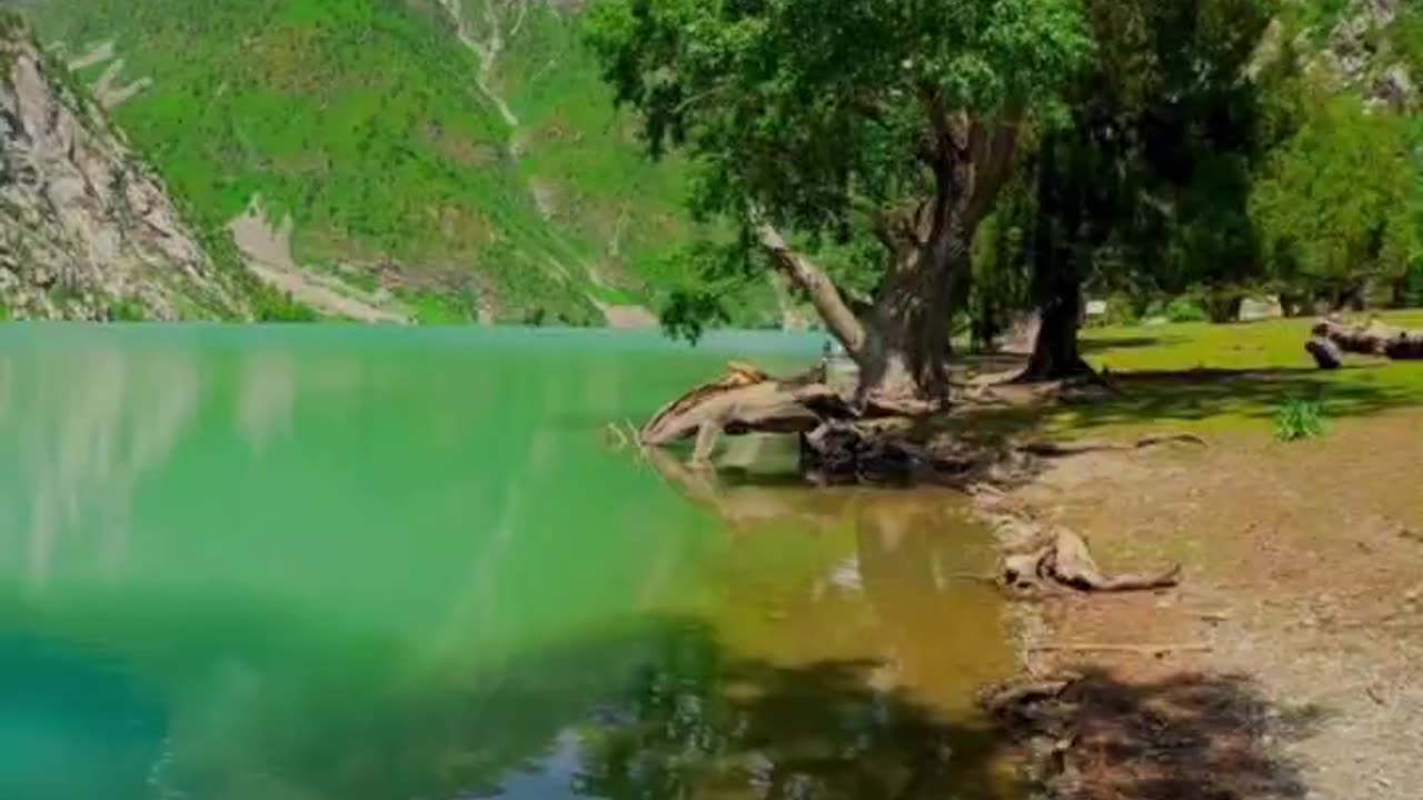 nature