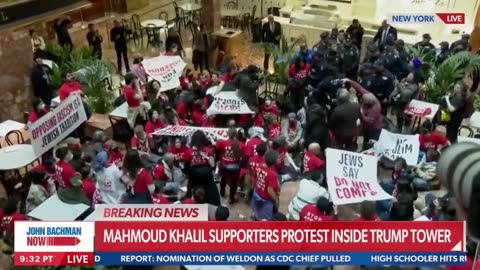 Leftist rioters stormed Trump Tower in New York City to protest for a Palestinian