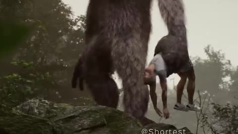 Big foot