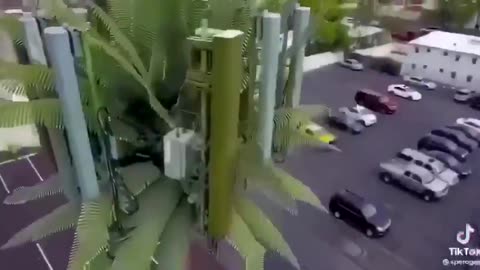 ☢️THE EMF WAR IS REAL📡