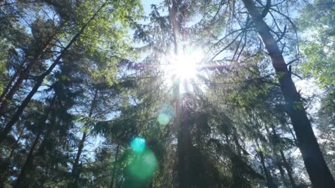 Relaxing Music to Relieve Stress, Anxiety & Depression • Healing Mind, Body & Soul