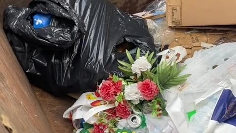 it doesn't know it wants to be held