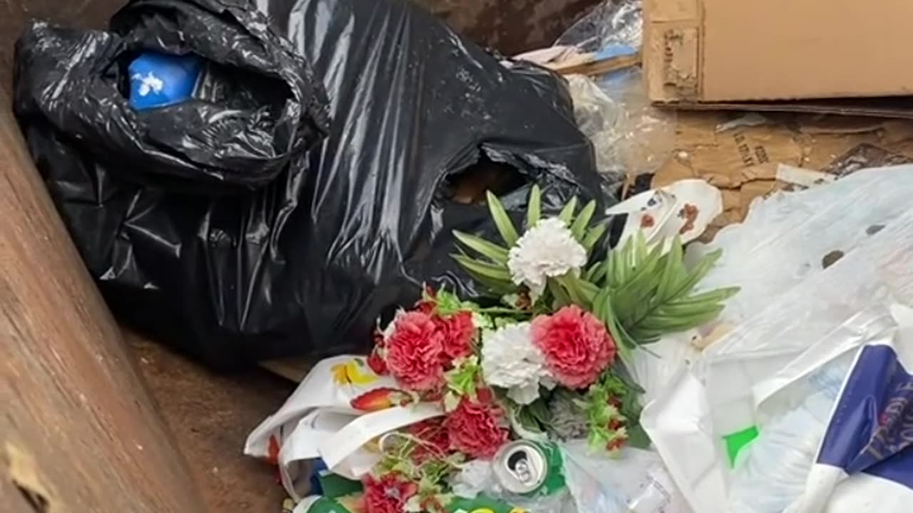 it doesn't know it wants to be held