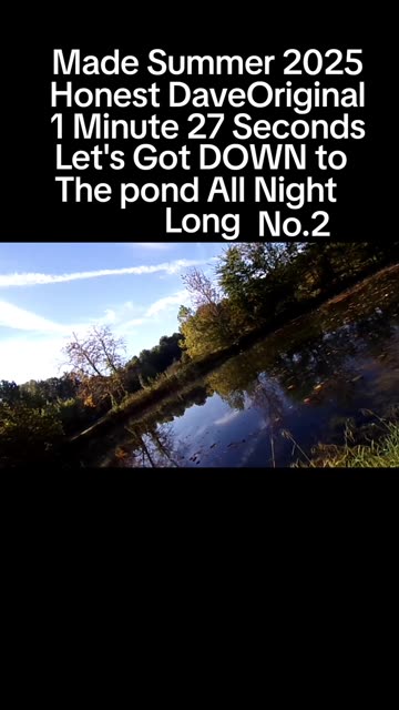 Lets Go Down To The Pond All Night Long