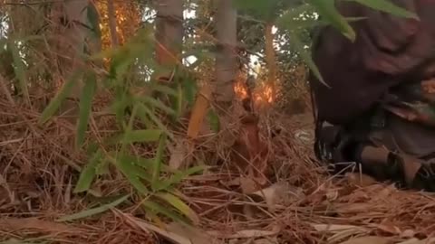 🪖🇲🇲 Myanmar War | Commander Motivates Troops at Karenni Front | RCF