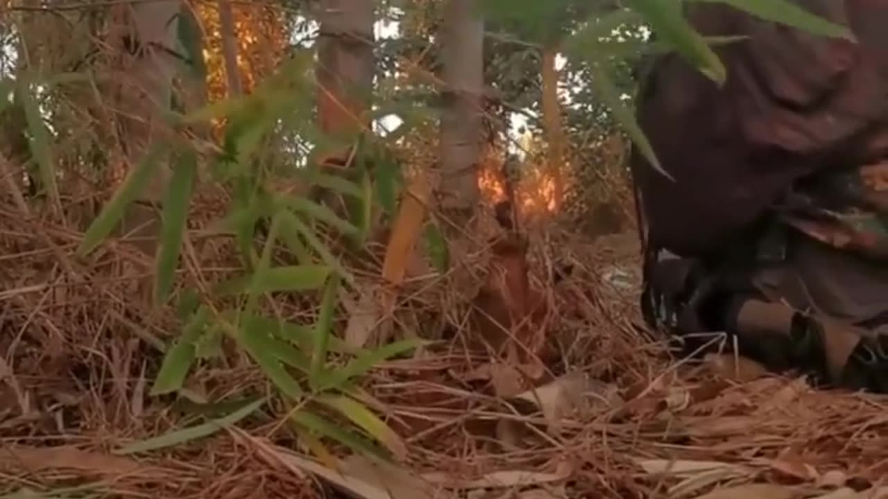 🪖🇲🇲 Myanmar War | Commander Motivates Troops at Karenni Front | RCF