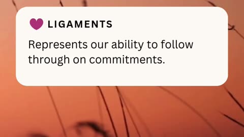 LIGAMENTS ❤️